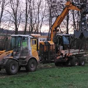 IMG_20230119_124403_original