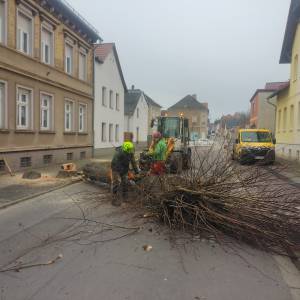 IMG_20240226_094825_original